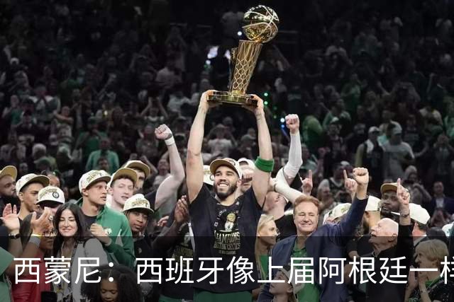 西蒙尼：西班牙像上届阿根廷一样靠团队夺冠；无人能取代格子